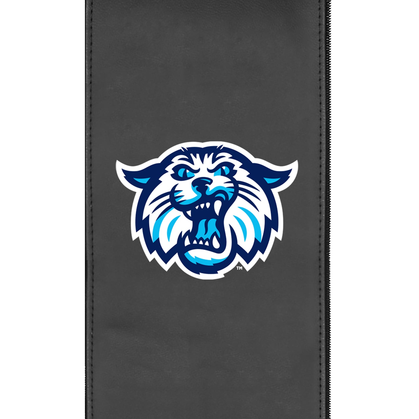 Villanova Wildcats Secondary Logo Panel