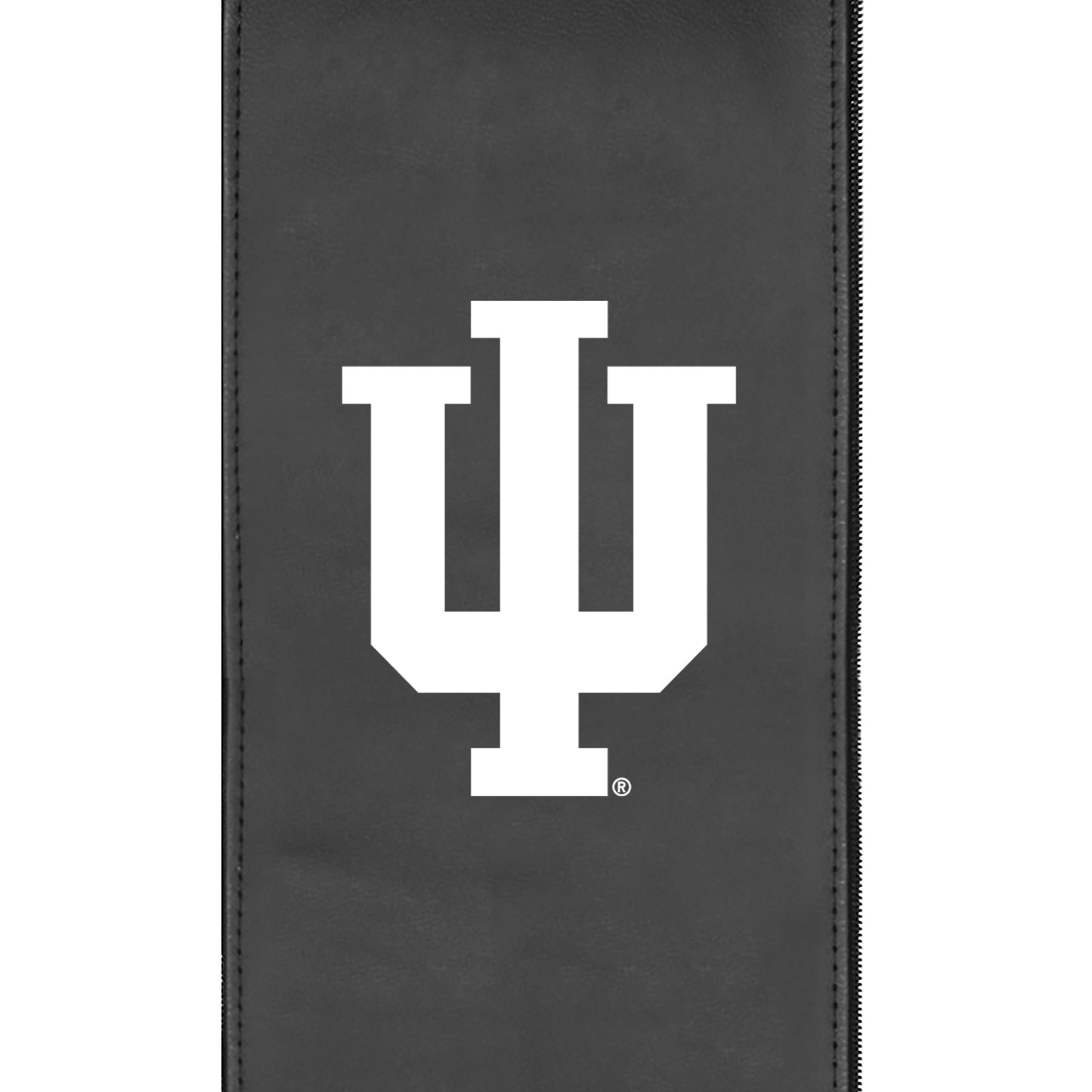 Indiana University Primary Logo Panel