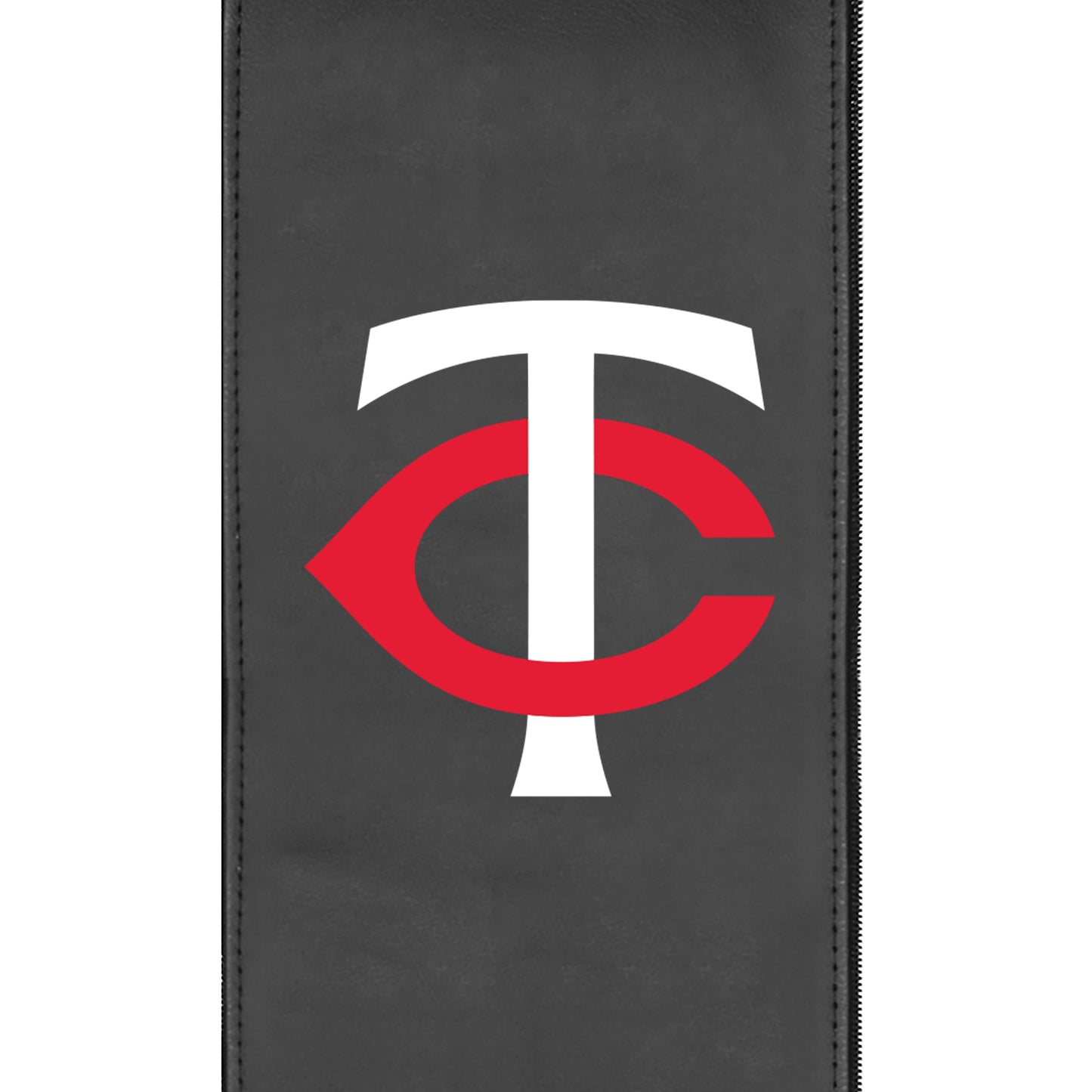 Minnesota Twins Primary Logo Panel