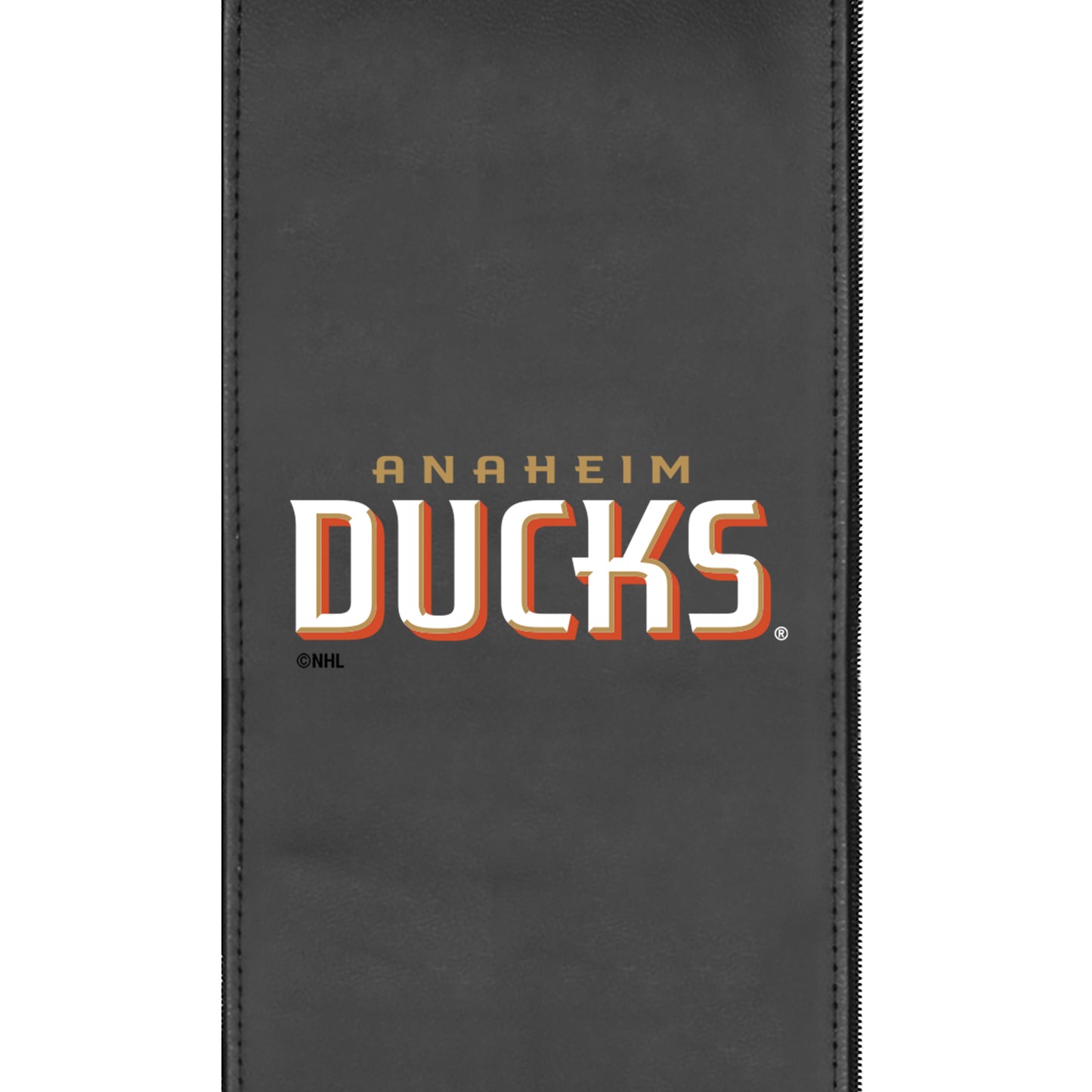 Anaheim Ducks Wordmark Logo Panel