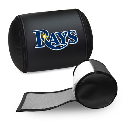 Tampa Bay Rays Logo Panel