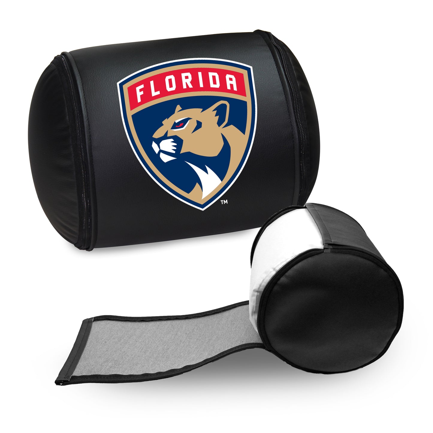 Florida Panthers Logo Panel