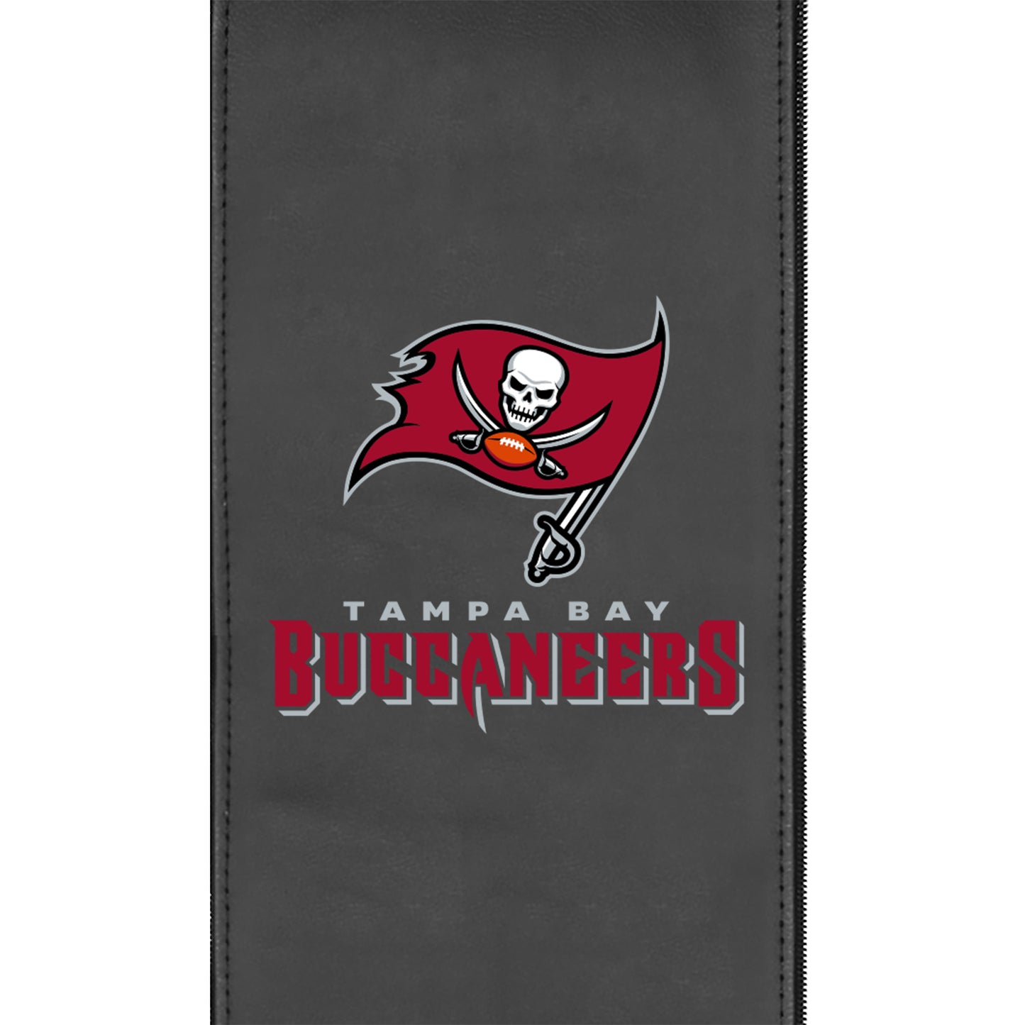 Tampa Bay Buccaneers Secondary Logo Panel