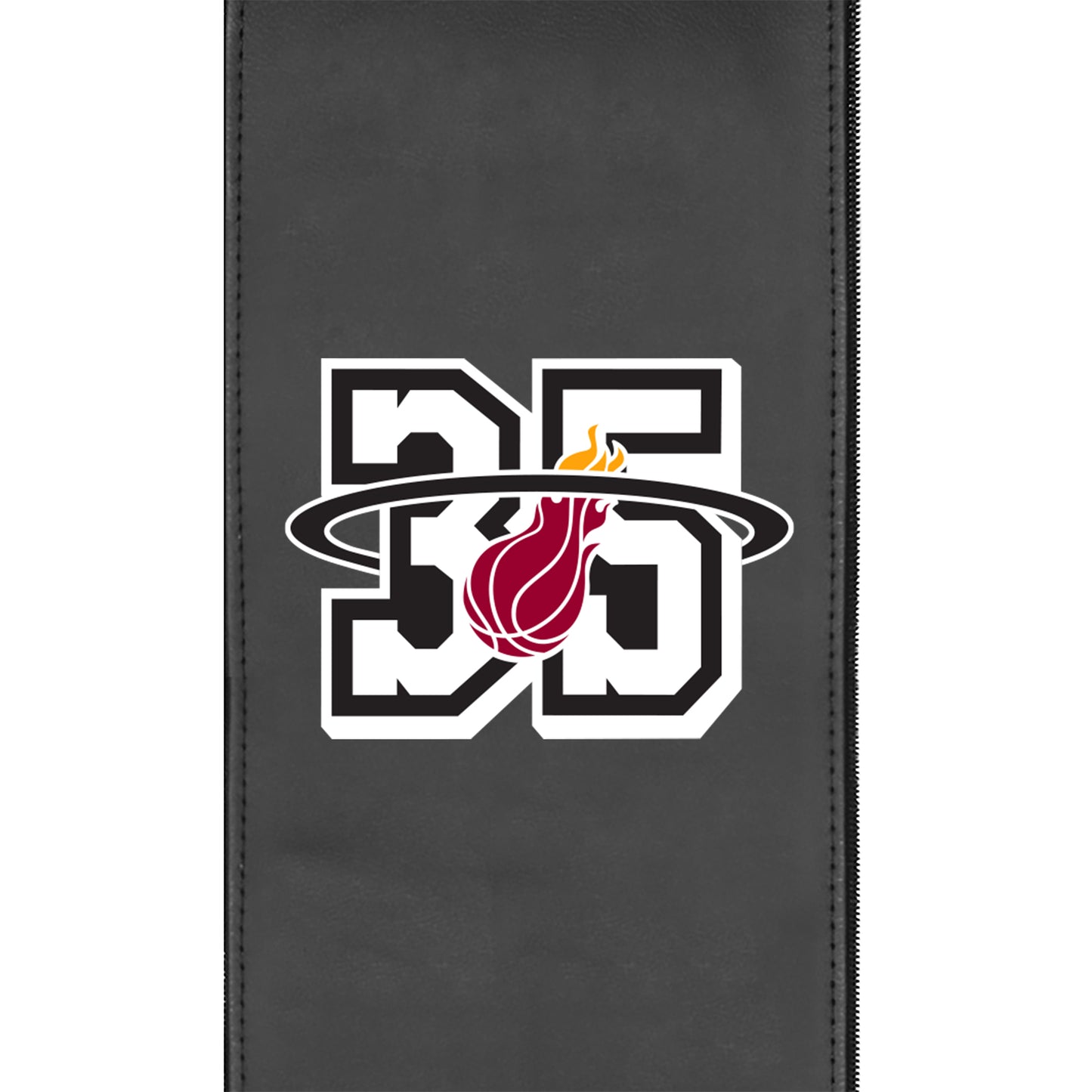 Miami Heat Team Commemorative Logo Panel